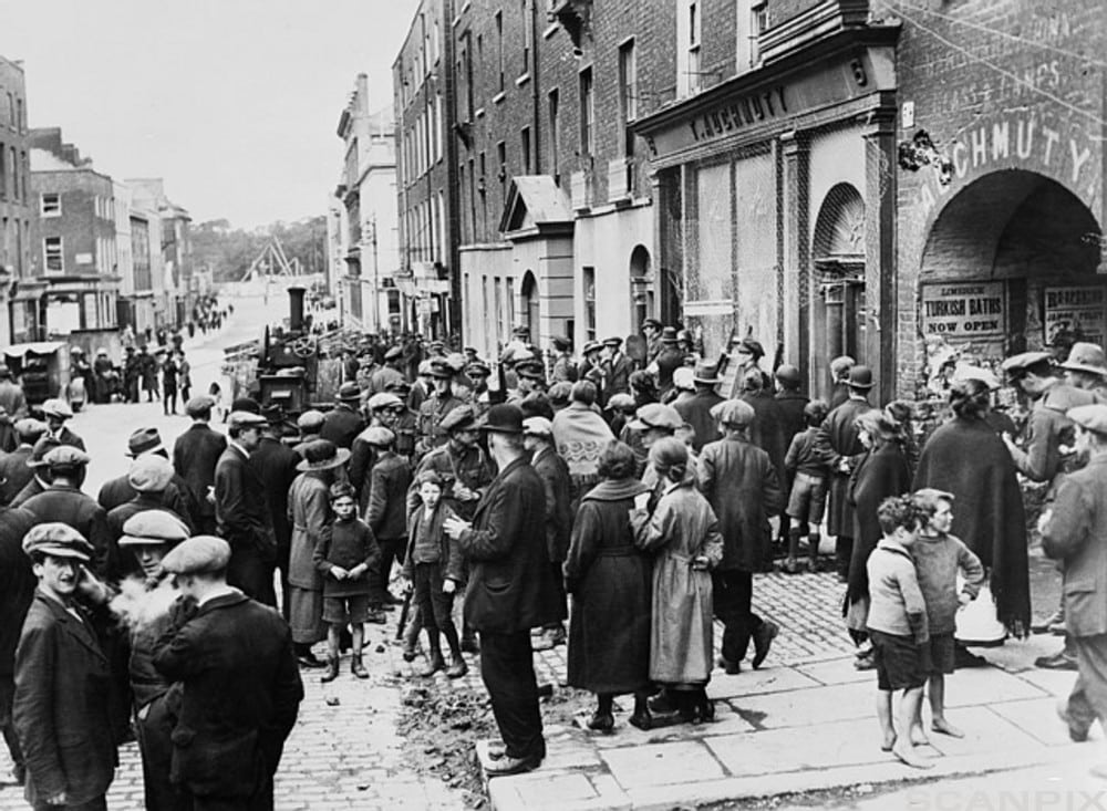 Is Irish twins a derogatory term?
