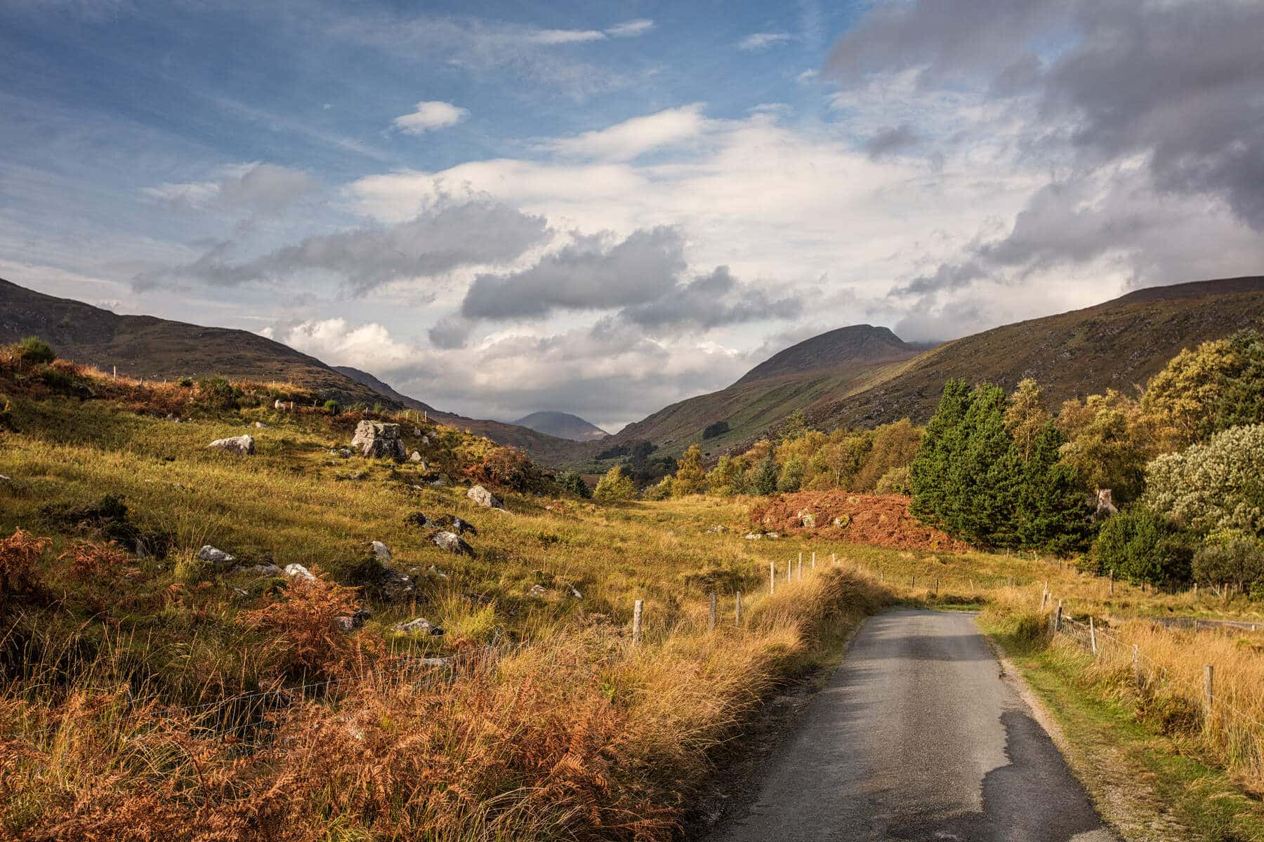 Day 6 of your Ireland itinerary without a car should be spent exploring the Ring of Kerry.