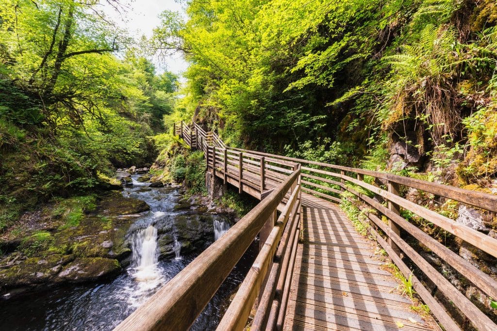 Glenariff Forest Park is one of the best forest parks in Ireland.