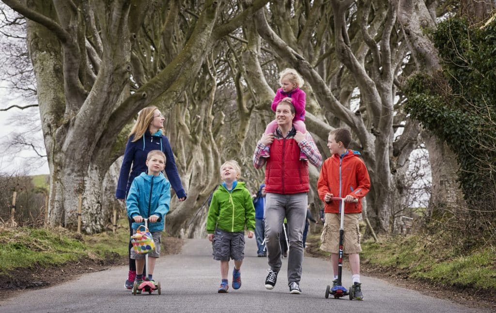 Parking at The Dark Hedges.