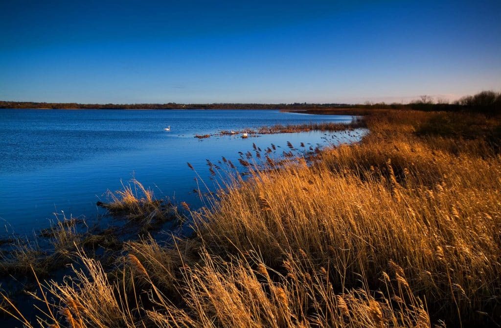 Lough Neagh is one of the most scenic drives in Northern Ireland.
