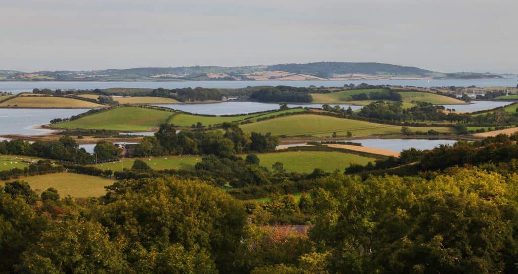 The Strangford Lough Scenic Drive passes through an Area of Outstanding Natural Beauty.