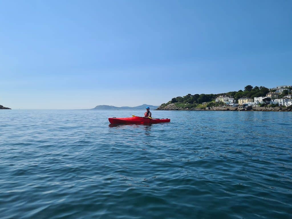 Go seal-spotting at Dalkey.