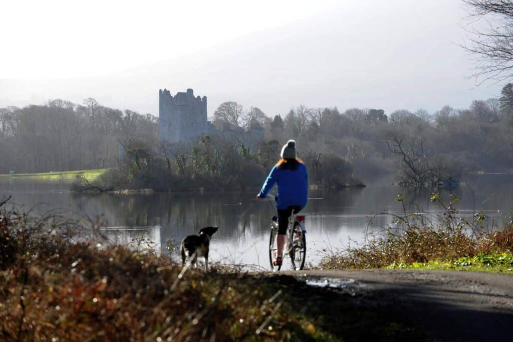 Killarney National Park is one of the best wildlife and national parks in Ireland.