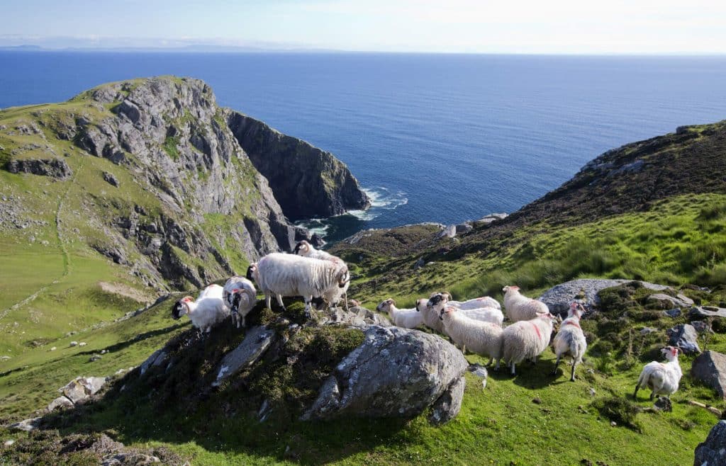 The Slieve League Cliffs are one of the best walks in Donegal.