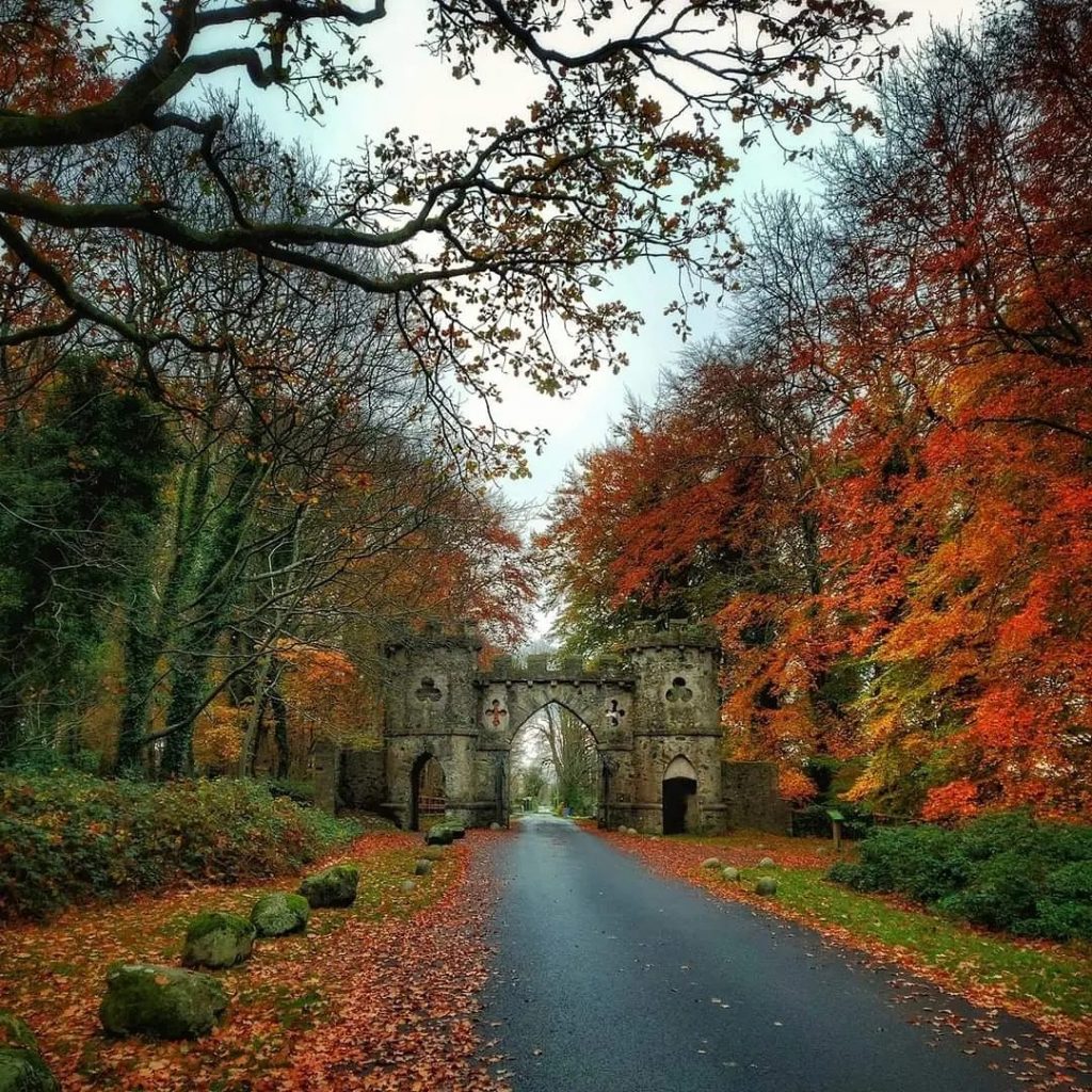 Tollymore Forest Park is one of the best places to visit in Ireland in the autumn.