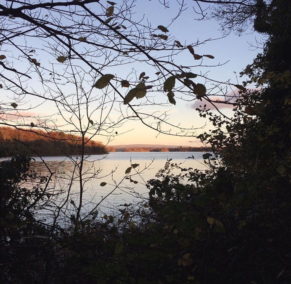 Hazelwood Forest is magical.