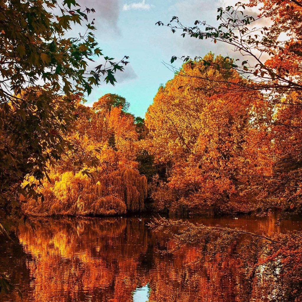 Pay a visit to Phoenix Park this fall.