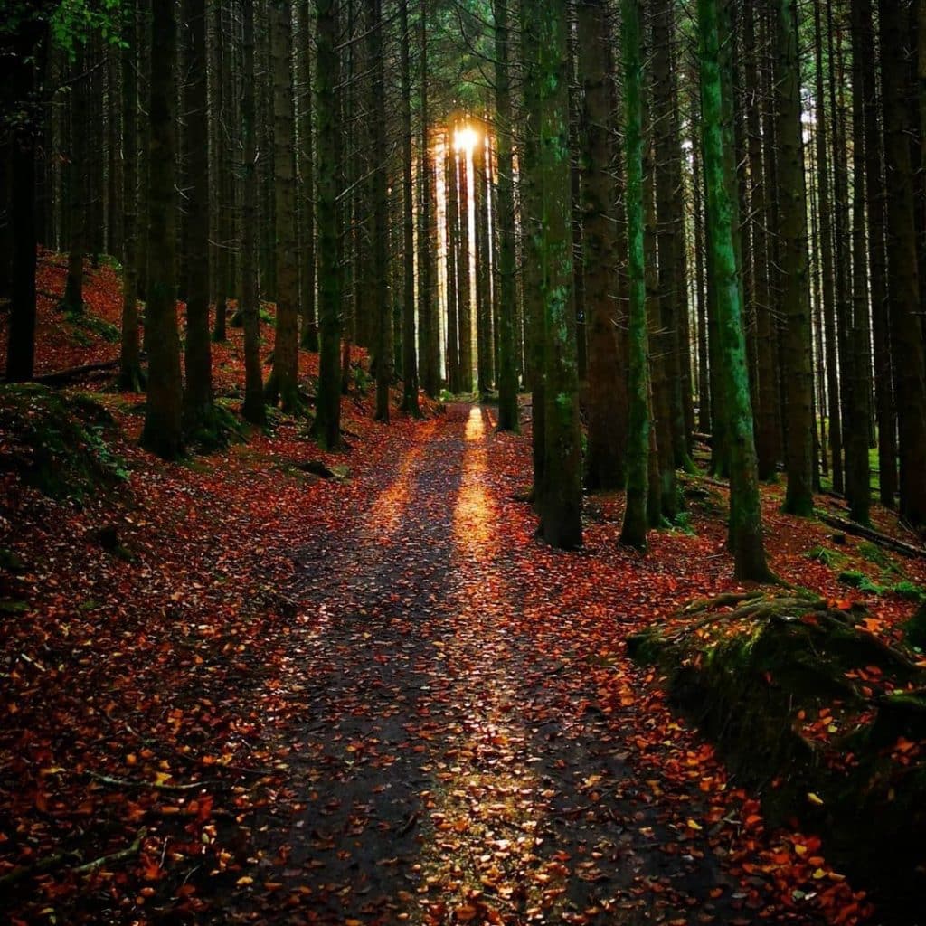 Slieve Bloom is one of the best places to visit in Ireland in the autumn.