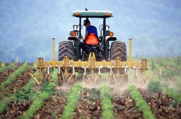 A buffer is a person from a rural area.