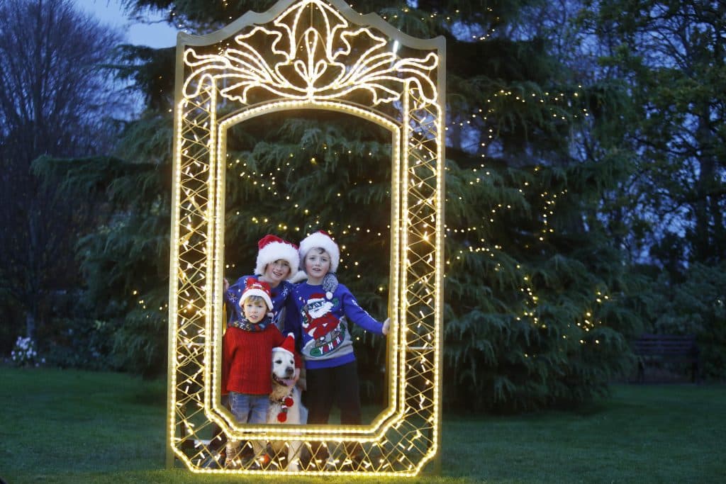 The very popular illuminated forest walk at Marlay Park is back this year.