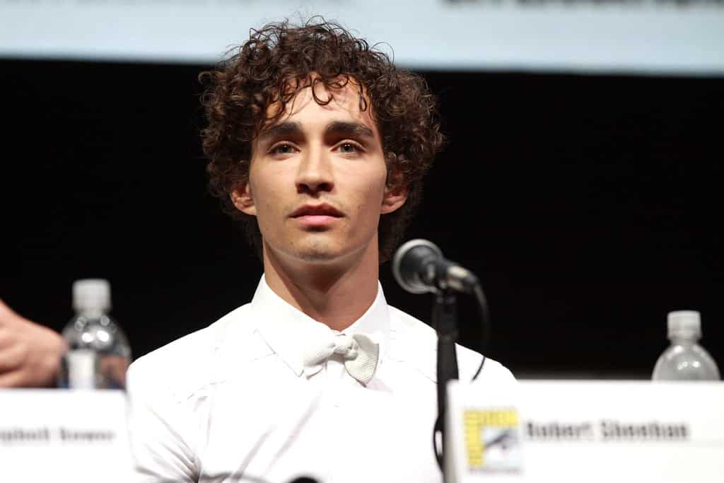 Robert Sheehan is one of the Irish actors you never knew were Irish.