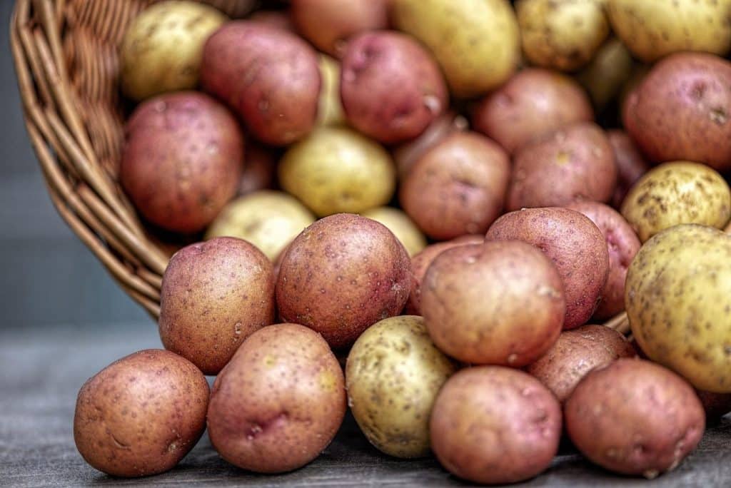 Potatoes are one of the ways Irish culture influenced the world.
