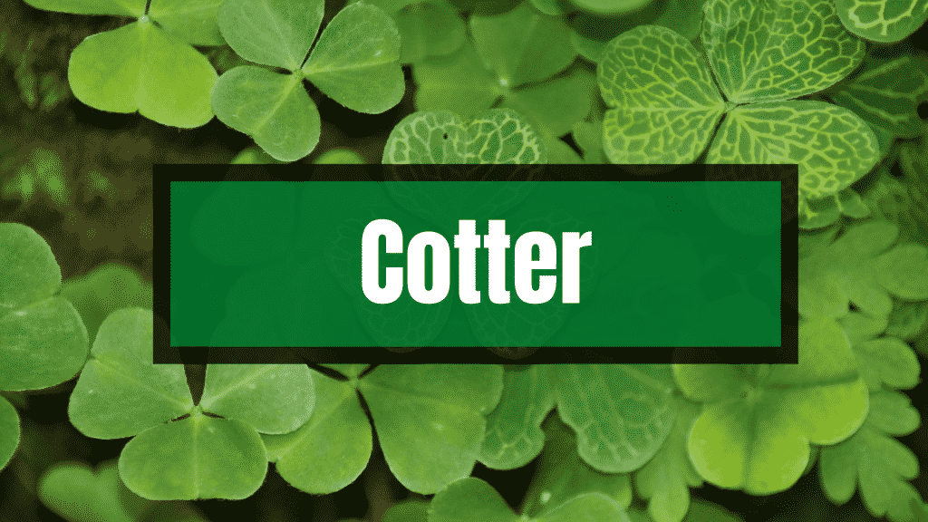 Cotter is one of the Irish surnames that are actually Viking.