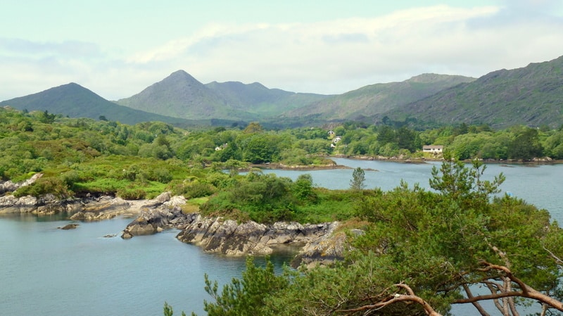 This island in Glengariff Bay is definitely one of the best Ring of Beara highlights.