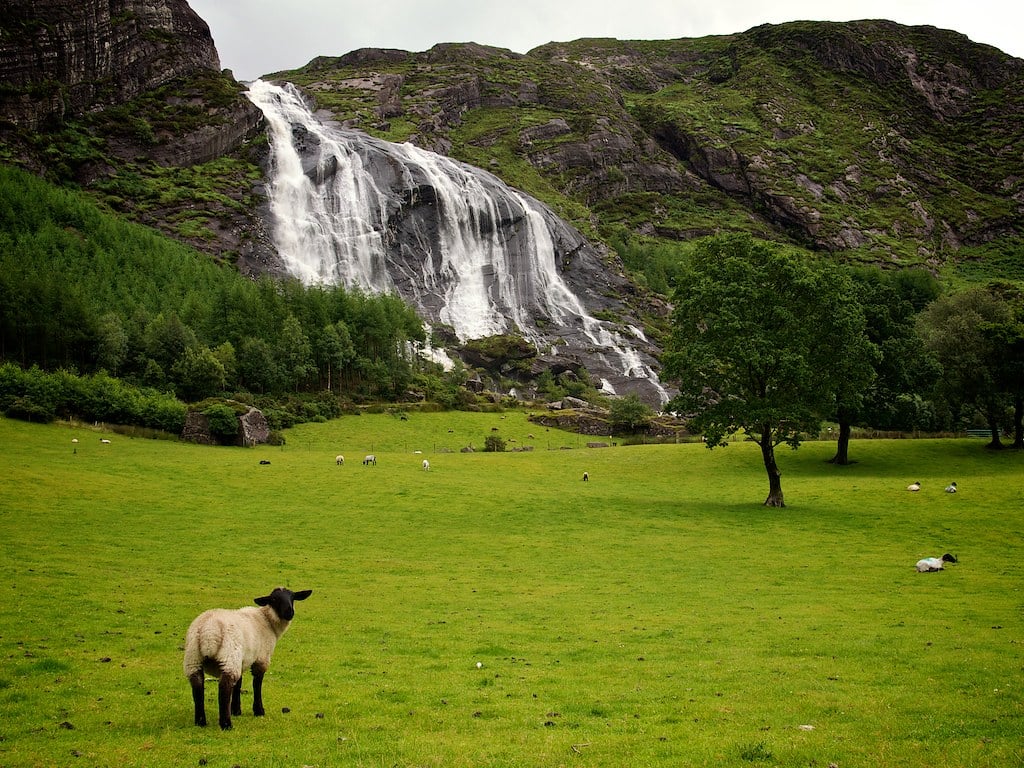Gleninchaquin Park is one of the most iconic Ring of Beara highlights.