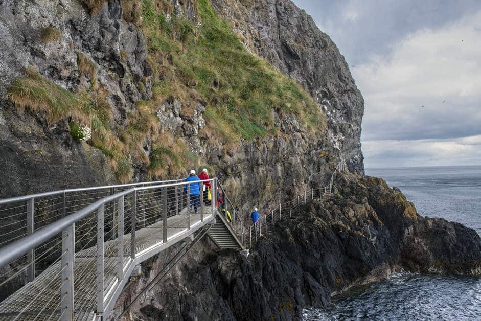 Wondering where to see puffins in Northern Ireland? You might spy them from the Gobbins Cliff Path.