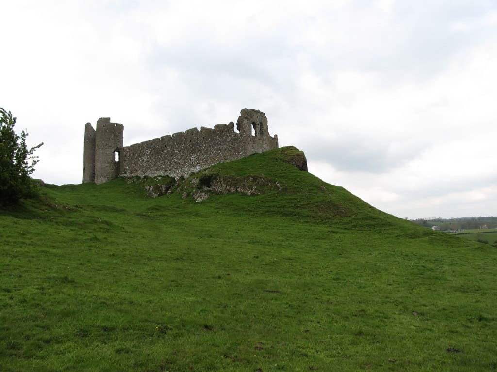 There are many Irish surnames that are disappearing, some that came from the Anglo-Norman invasion.