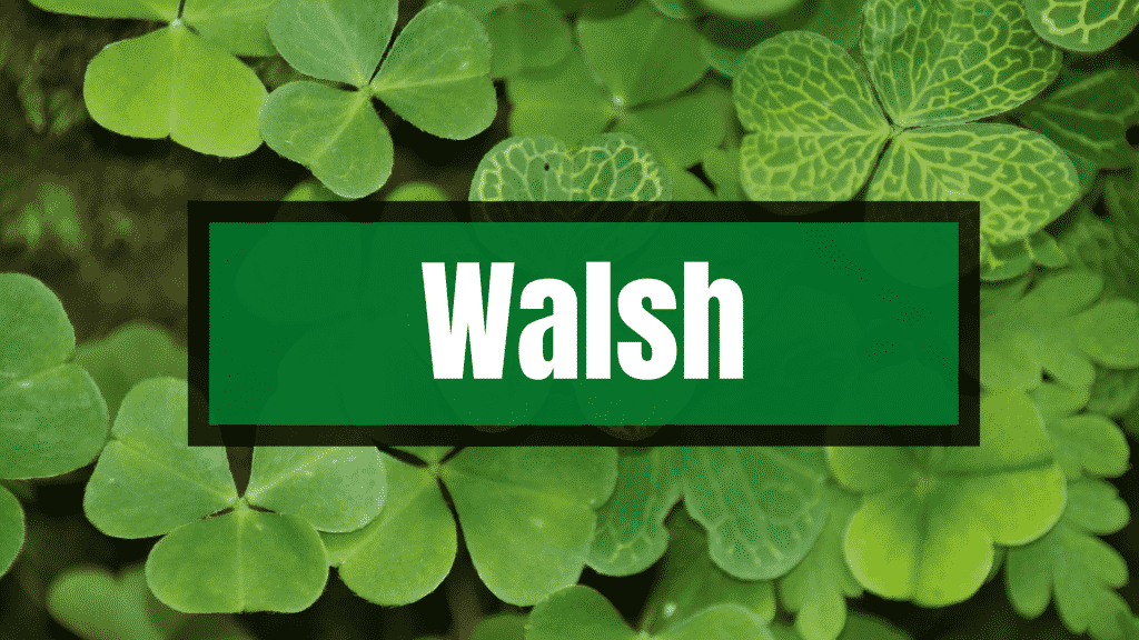 The Walsh surname comes with a rich history. 