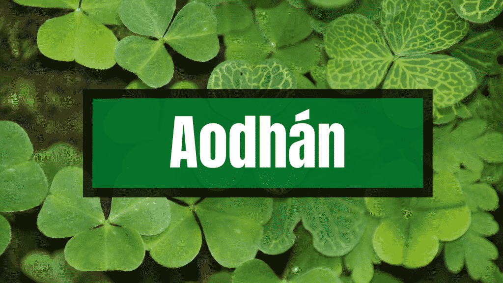 Aodhán has an Irish pronunciation, and it has also been anglicised. 