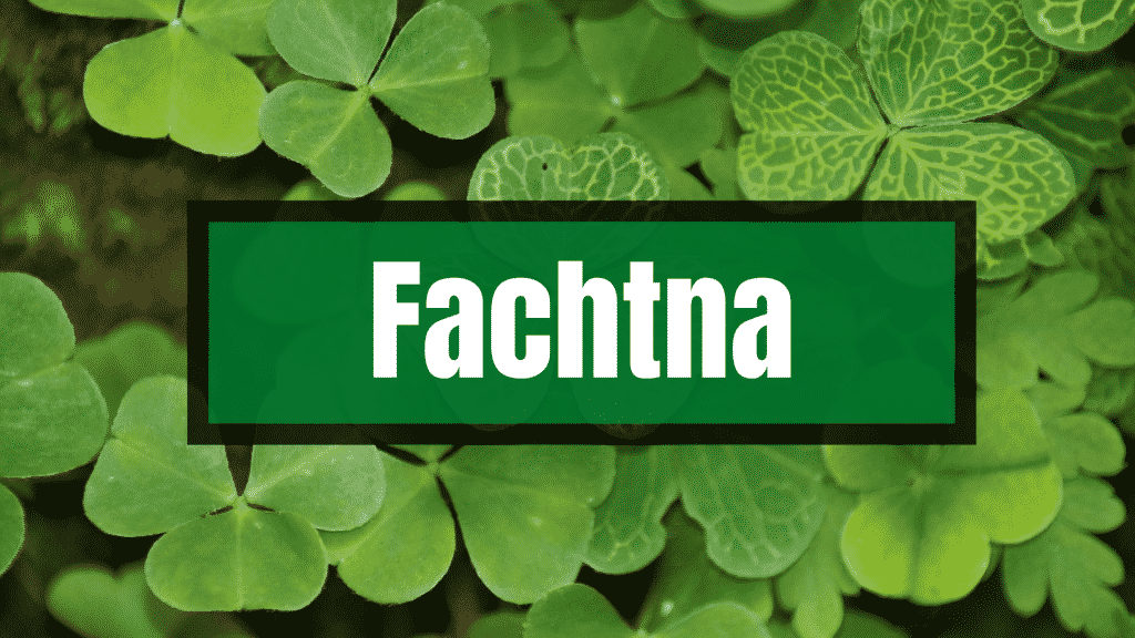Fachtna means hostile or malicious. 