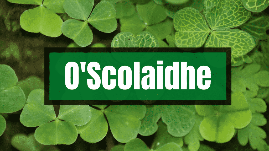O'Scolaidhe is one of the top Irish surnames that are disappearing.