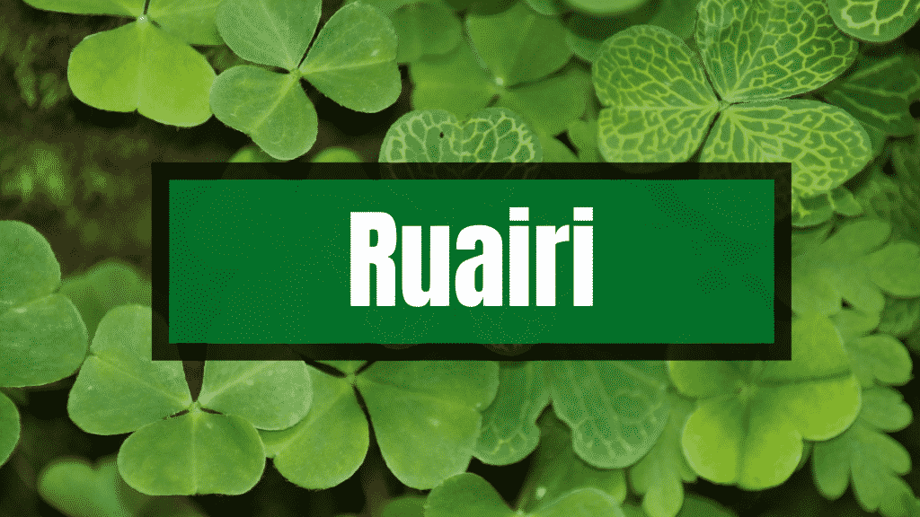 Ruairí is one of the Irish first names that always get spelt wrong.