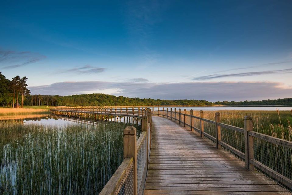 You can explore the lakes on your visit.