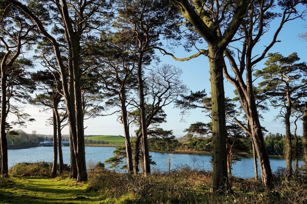 There are plenty of options for camping at Strangford Lough.