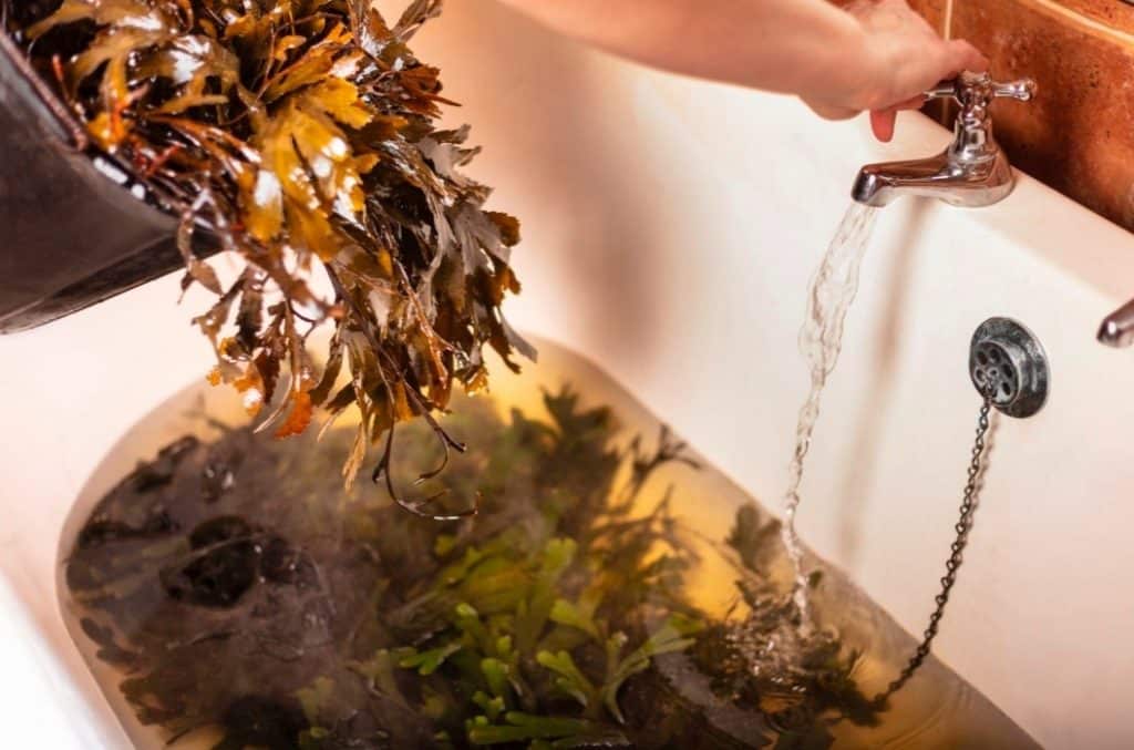 Voya Seaweed Baths is world-renowned.