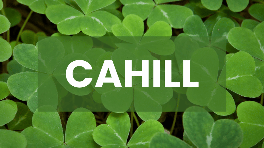 Cahill is a popular Irish surname.