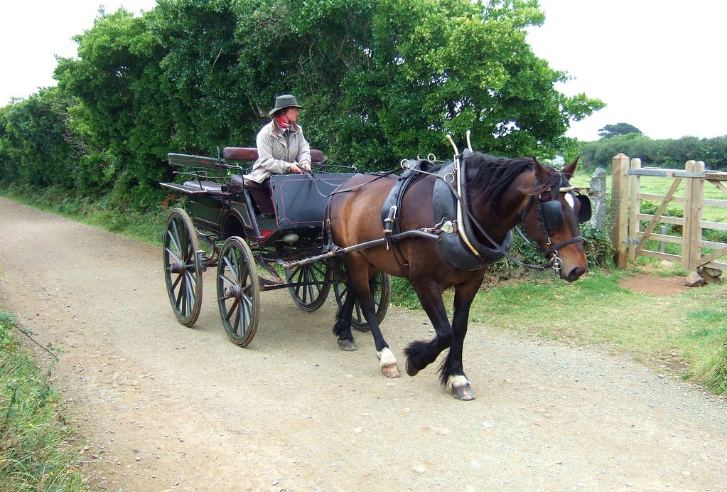 One of the silly misconceptions about Ireland is that we travel by horse and cart.