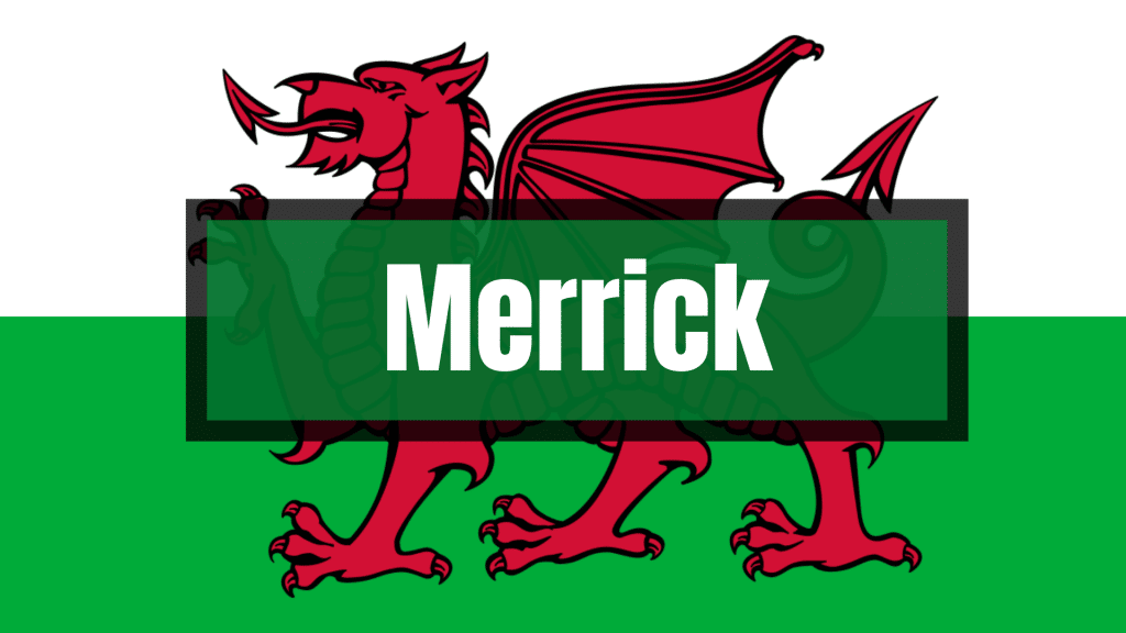 Merrick is one of the Irish surnames that are actually Welsh.