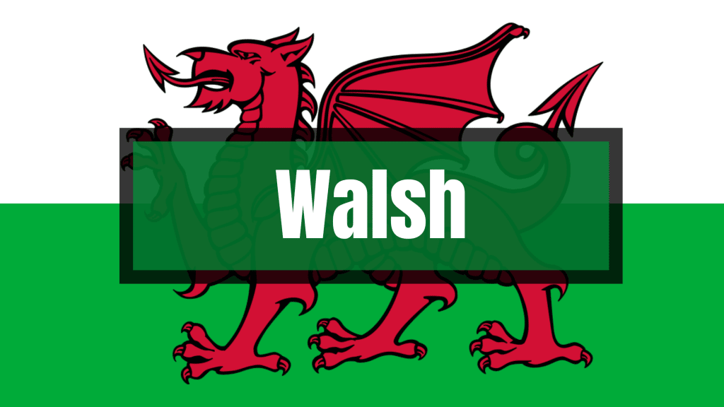 Walsh is one of the Irish surnames that are actually Welsh.