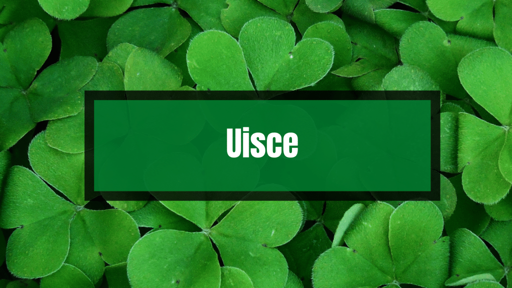 Uisce is pronounced 'ish-ka'.