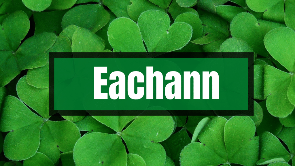 Eachann is a name with Irish and Scottish ties.