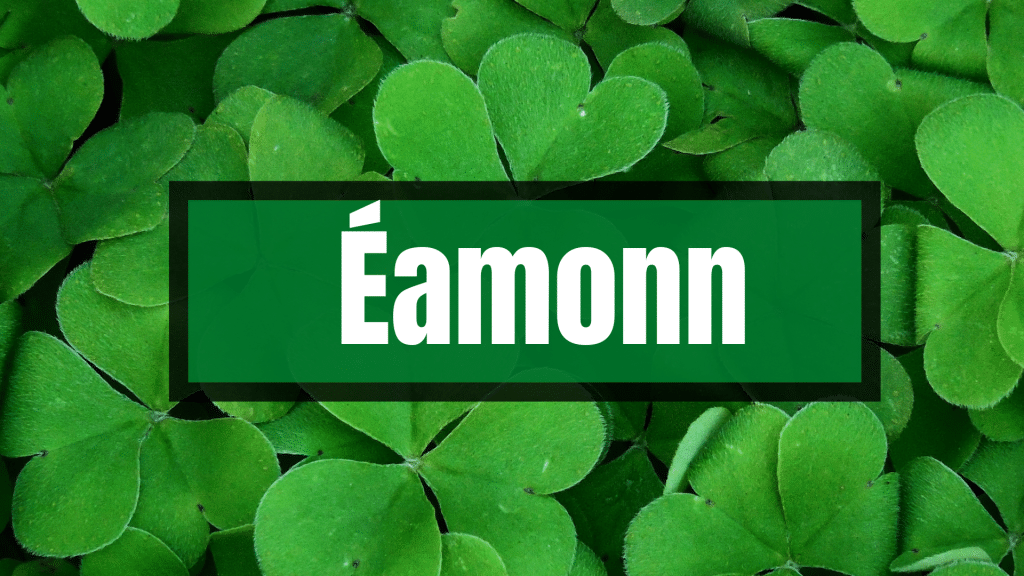 Éamonn means rich protector.