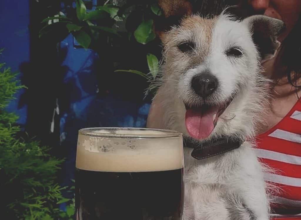 Fionnbarra is one of the best dog-friendly pubs in Cork.