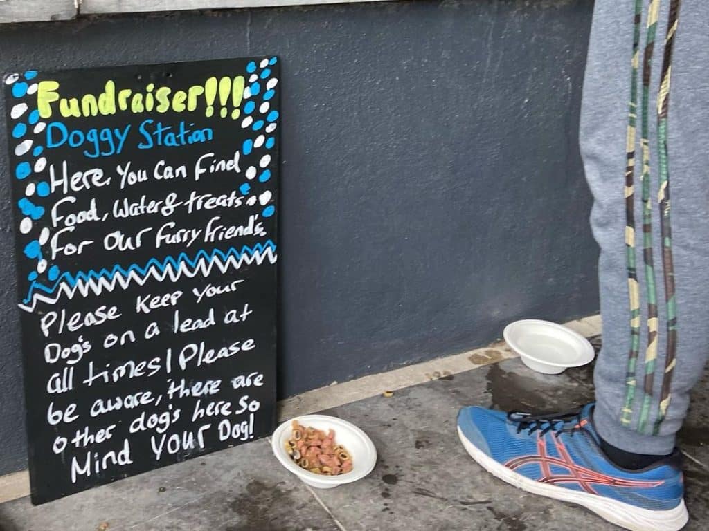 The Blackbird Pub is one of the best dog-friendly pubs in Cork.