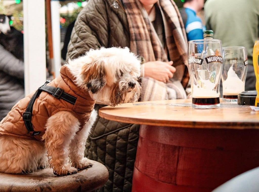 Tom Barry's serves refreshing pints and tasty pizza.