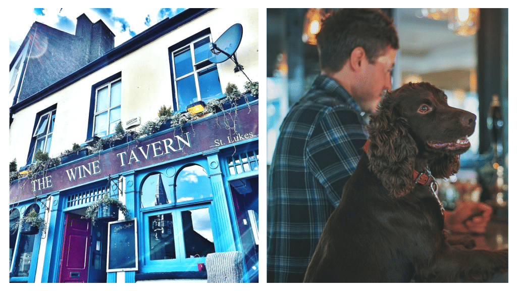 St Luke's Wine Tavern serves great tapas.