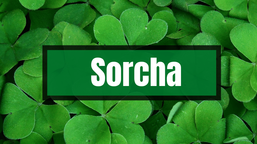 Sorcha is one of the most beautiful Irish names beginning with 'S'.