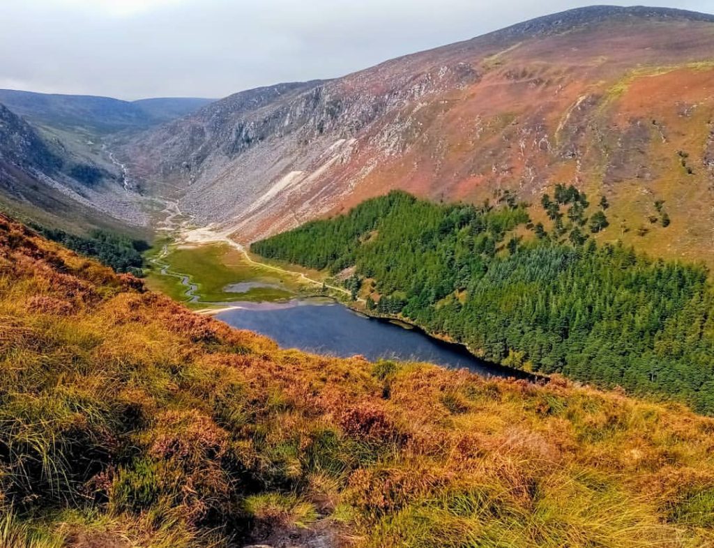 Spinc and Glenealo is one of the most scenic walks in Glendalough.