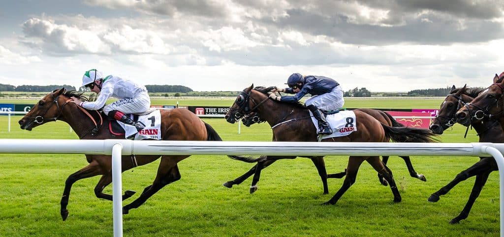 Top 10 sporting events in Ireland you must attend.