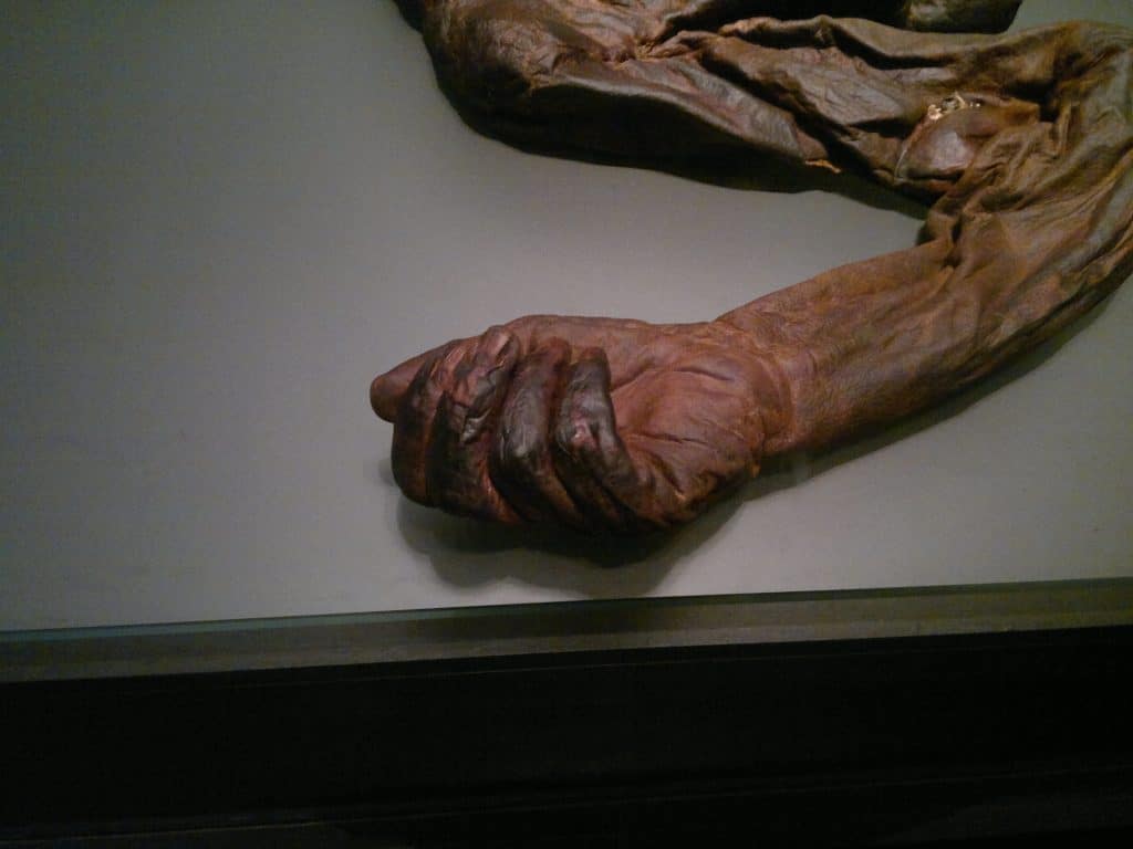 10 must-see exhibits at the National Museum of Ireland.