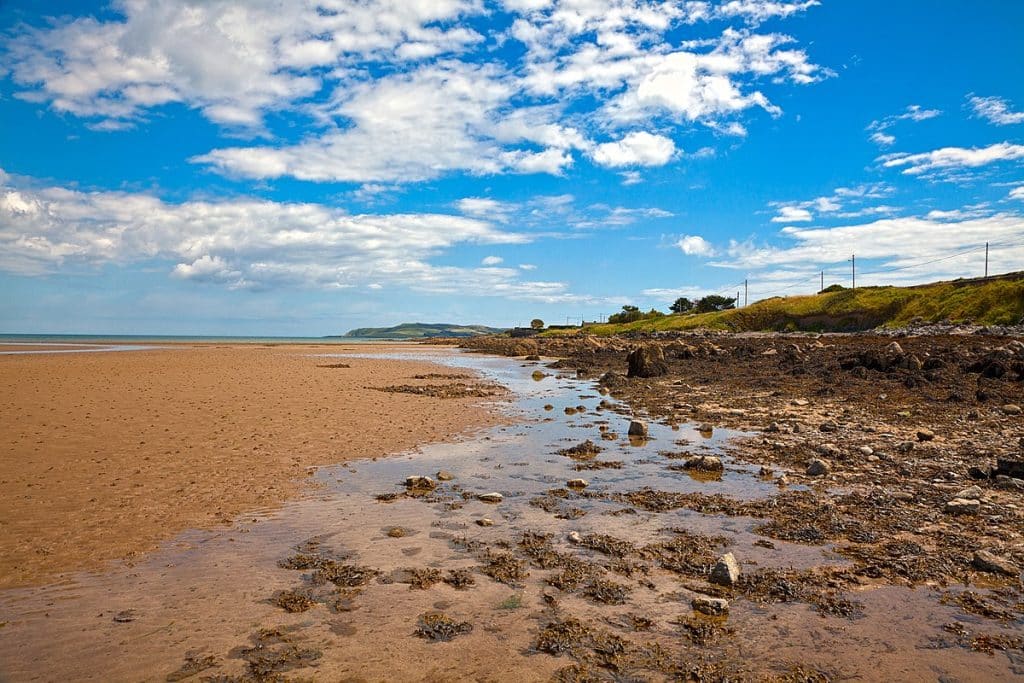 Go for a walk on the beach.