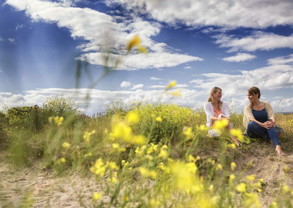 Malahide Beach: When to visit, what to see, and things to know.