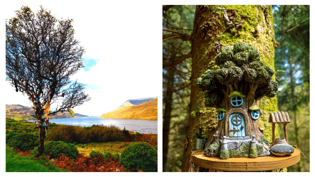 Irish FAIRY TREES why they are so SACRED (full explanation)