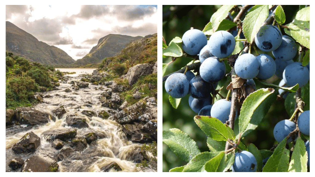 10 facts about Killarney on the Ring of Kerry.
