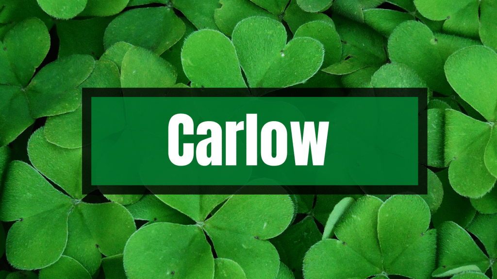 The Irish name Carlow in white on green against a backdrop of shamrocks. It's one of our favourite travel-inspired Irish names.